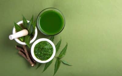 What is the Number One Herb for Menopause?